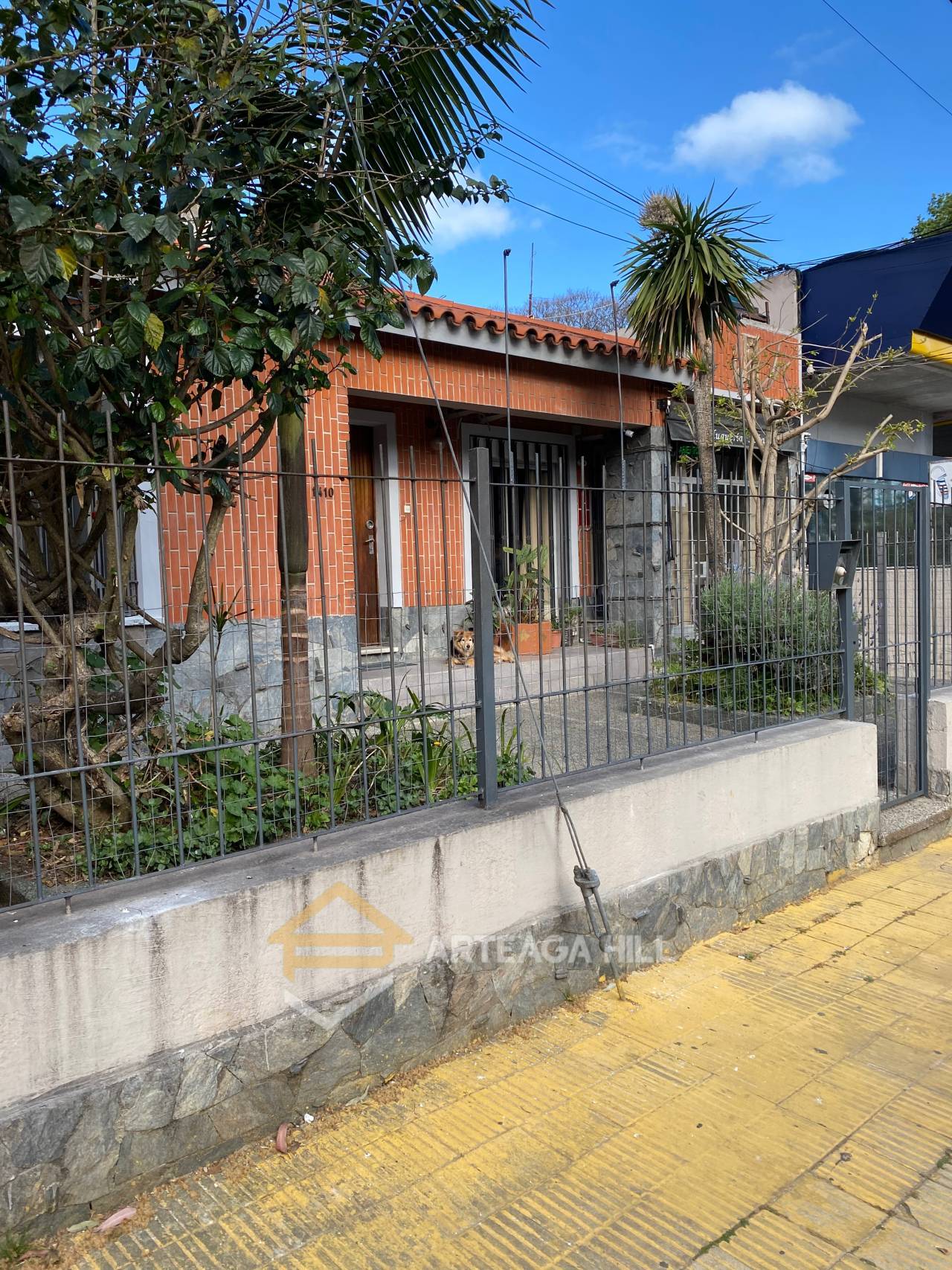 alquiler y venta de propiedades
