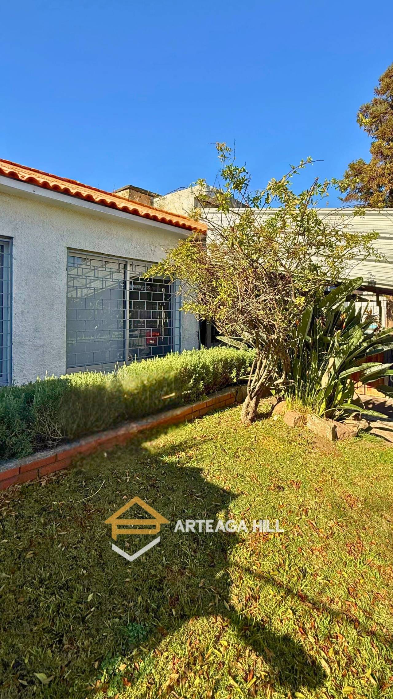 alquiler y venta de propiedades