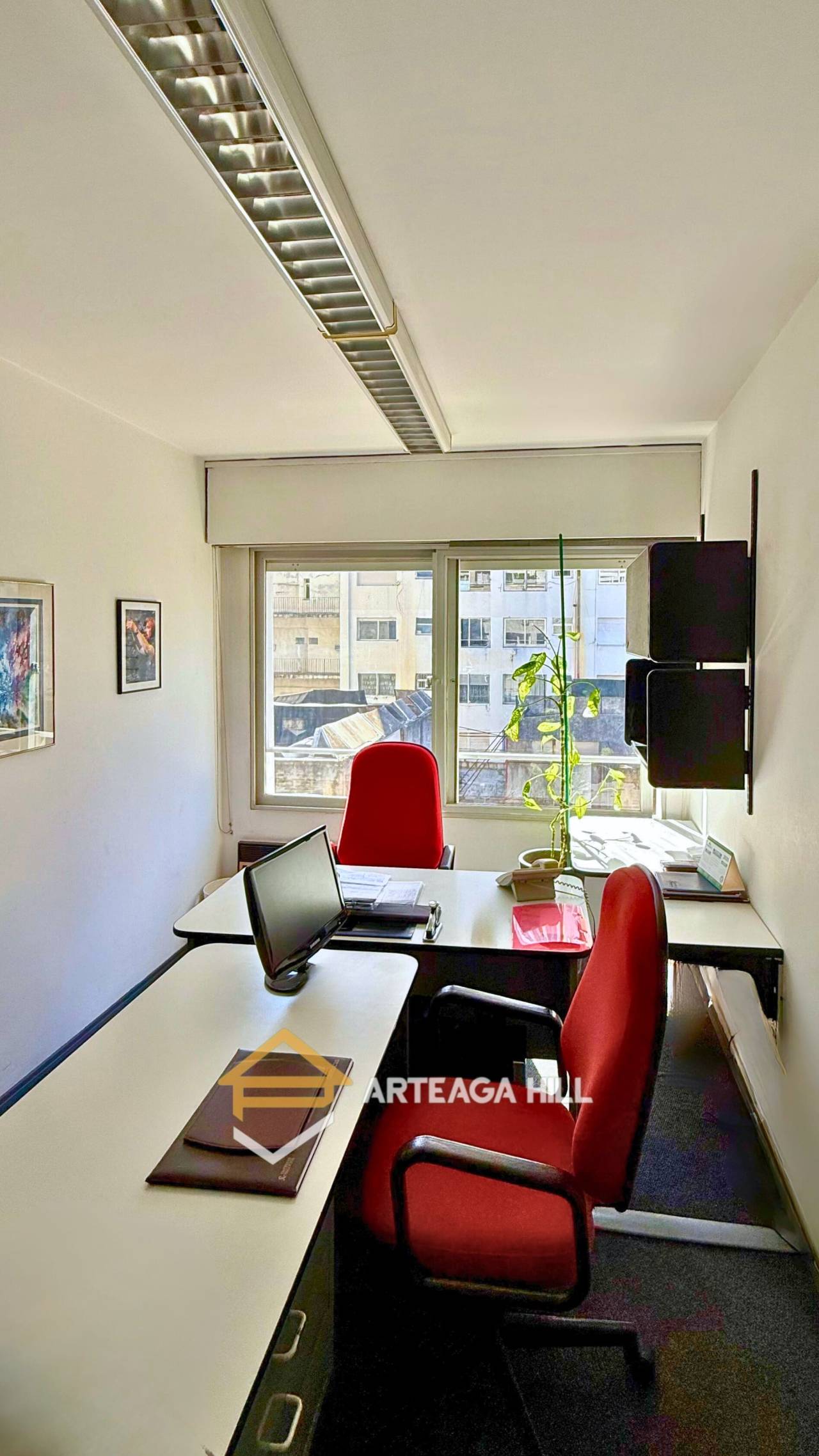 alquiler y venta de propiedades